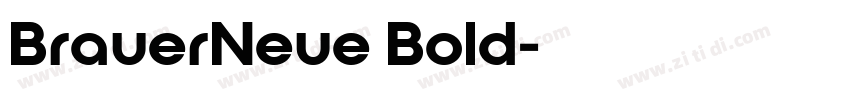 BrauerNeue Bold字体转换